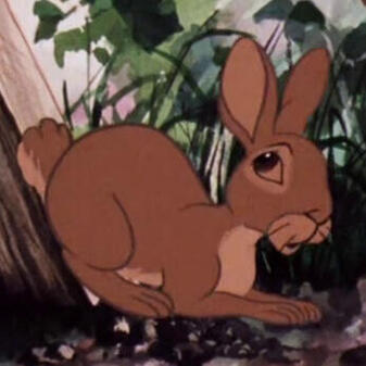 Fiver - Watership Down